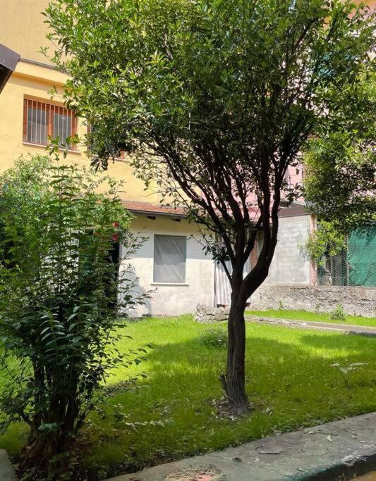 奥梅尼亚Il Giardino Nascosto公寓 外观 照片